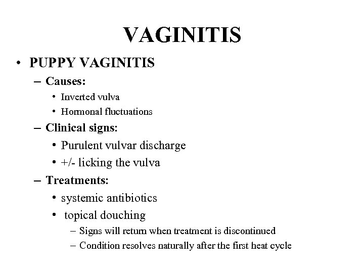 VAGINITIS • PUPPY VAGINITIS – Causes: • Inverted vulva • Hormonal fluctuations – Clinical