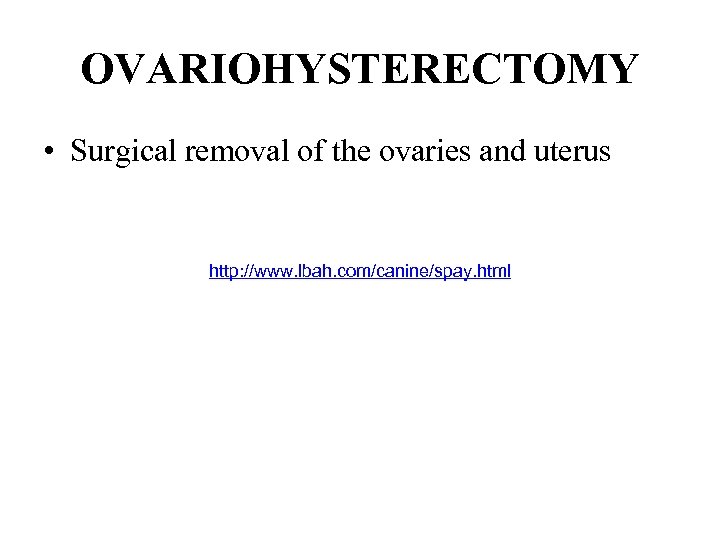 OVARIOHYSTERECTOMY • Surgical removal of the ovaries and uterus http: //www. lbah. com/canine/spay. html