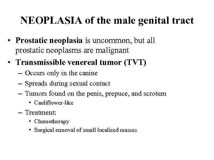 NEOPLASIA of the male genital tract • Prostatic neoplasia is uncommon, but all prostatic