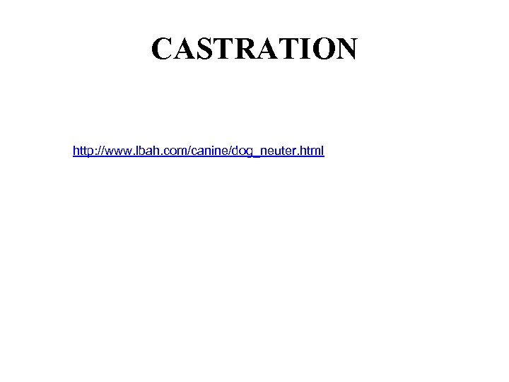 CASTRATION http: //www. lbah. com/canine/dog_neuter. html 