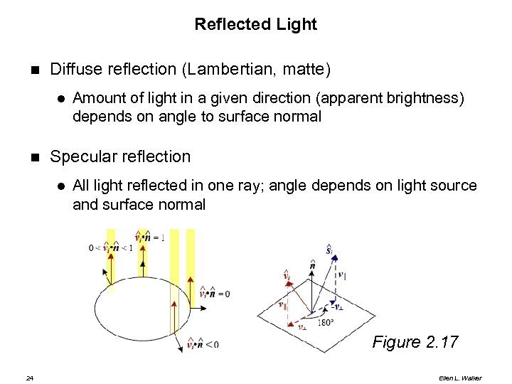 Reflected Light Diffuse reflection (Lambertian, matte) Amount of light in a given direction (apparent