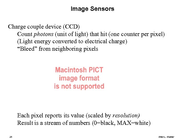 Image Sensors Charge couple device (CCD) Count photons (unit of light) that hit (one