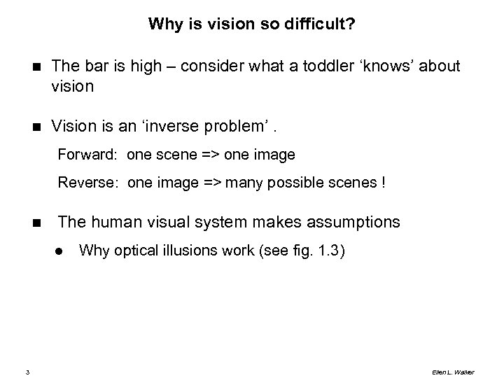 Why is vision so difficult? The bar is high – consider what a toddler