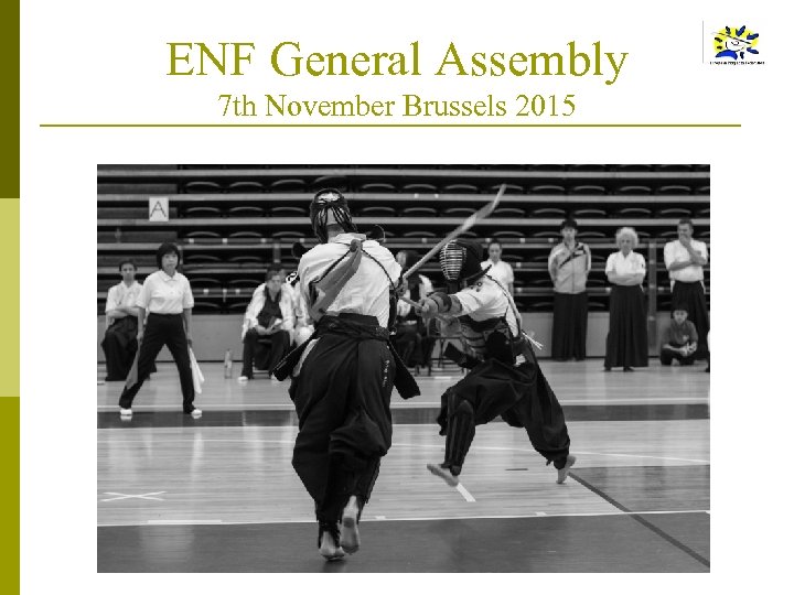 ENF General Assembly 7 th November Brussels 2015 