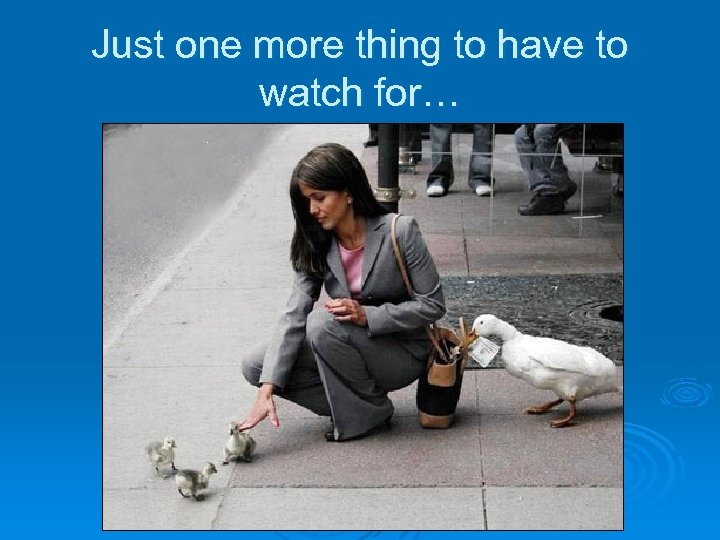 Just one more thing to have to watch for… 