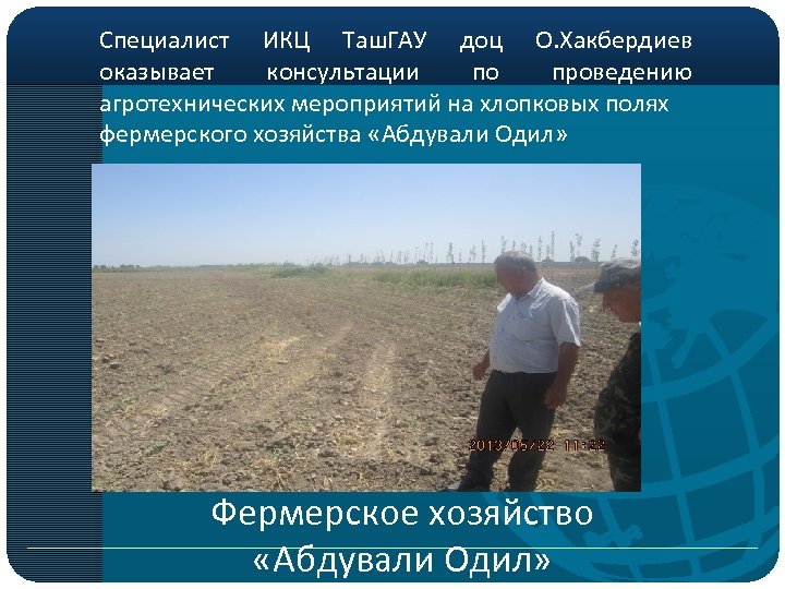 Специалист ИКЦ Таш. ГАУ доц О. Хакбердиев оказывает консультации по проведению агротехнических мероприятий на