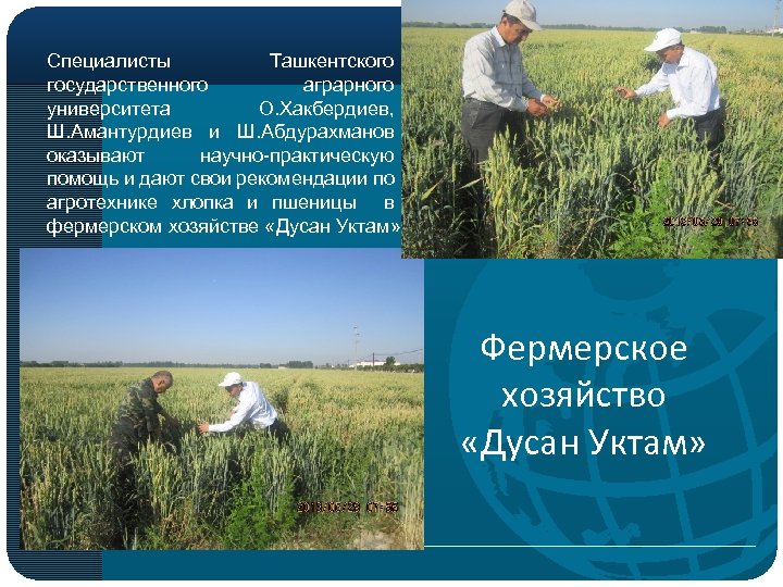 Специалисты Ташкентского государственного аграрного университета О. Хакбердиев, Ш. Амантурдиев и Ш. Абдурахманов оказывают научно-практическую