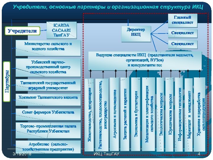 Учредители, основные партнеры и организационная структура ИКЦ ICARDA CACAARI Таш. ГАУ Директор ИКЦ Cпециалист