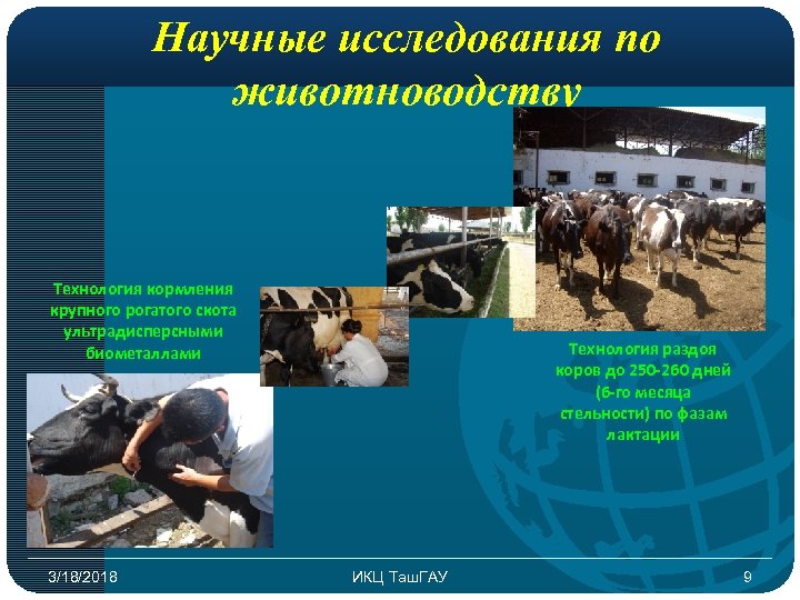 Научные исследования по животноводству Технология кормления крупного рогатого скота ультрадисперсными биометаллами 3/18/2018 Технология раздоя
