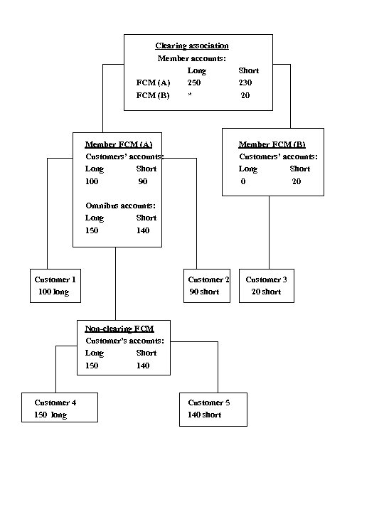 Clearing association Member accounts: Long FCM (A) 250 FCM (B) * Member FCM (A)