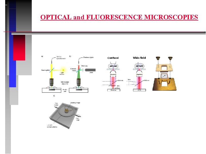 OPTICAL and FLUORESCENCE MICROSCOPIES 