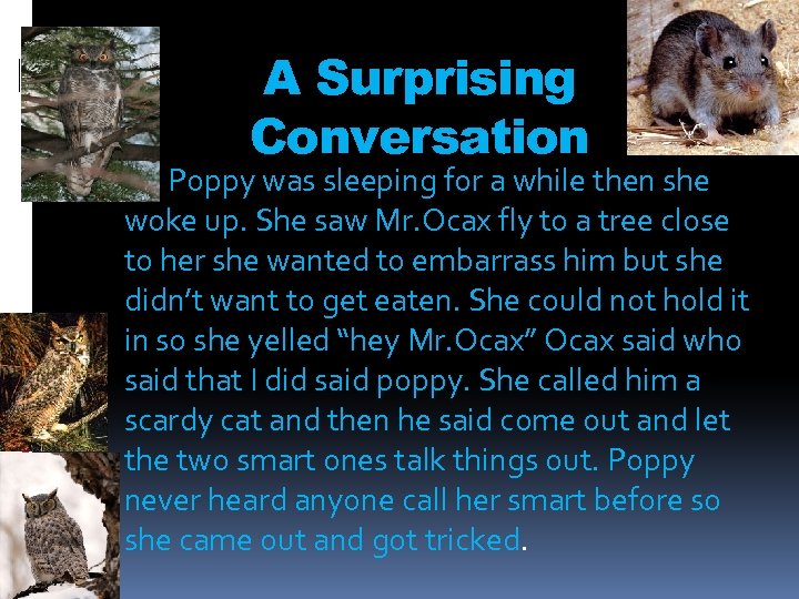 A Surprising Conversation Poppy was sleeping for a while then she woke up. She