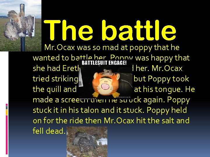 The battle Mr. Ocax was so mad at poppy that he wanted to battle