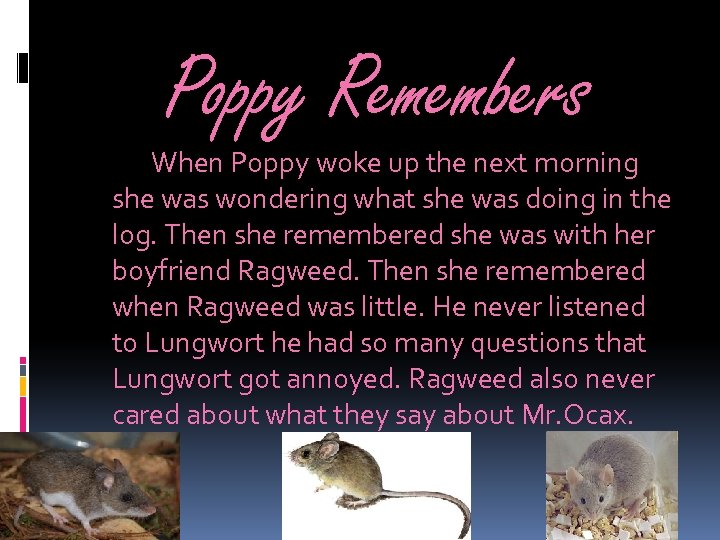 Poppy Remembers When Poppy woke up the next morning she was wondering what she