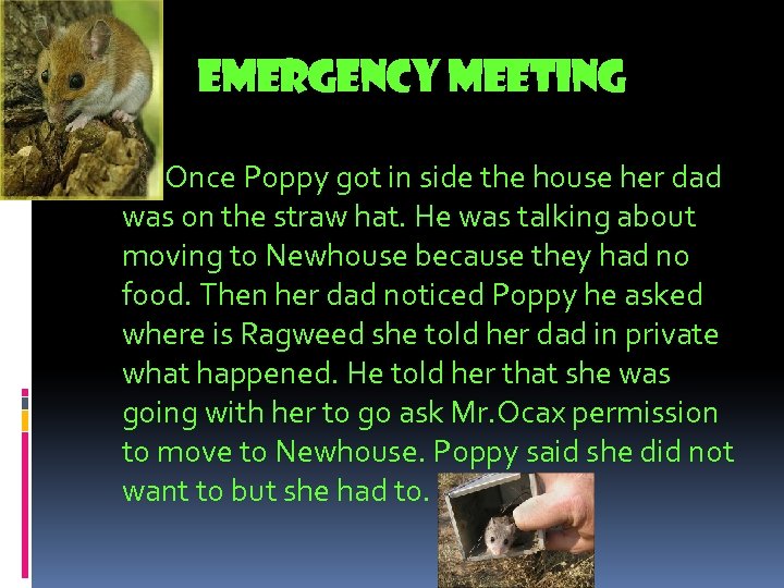 Emergency meeting Once Poppy got in side the house her dad was on the