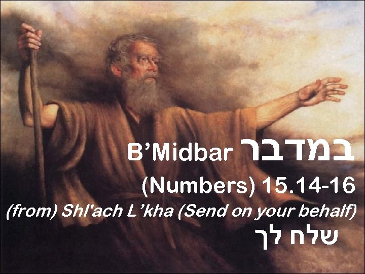 B’Midbar במדבר (Numbers) 15. 14 -16 (from) Shl'ach L’kha (Send on your behalf) שלח