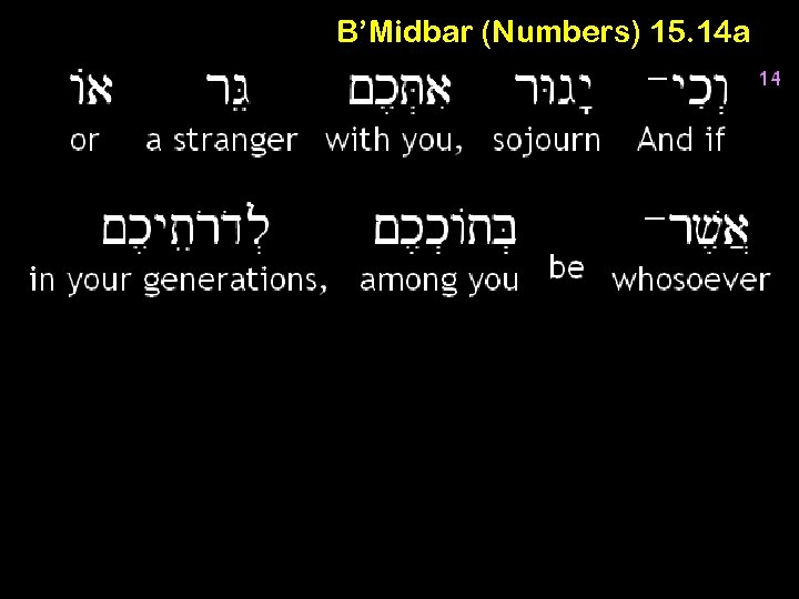 B’Midbar (Numbers) 15. 14 a 