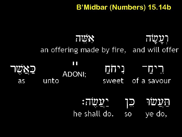 B’Midbar (Numbers) 15. 14 b יי ADONI; 