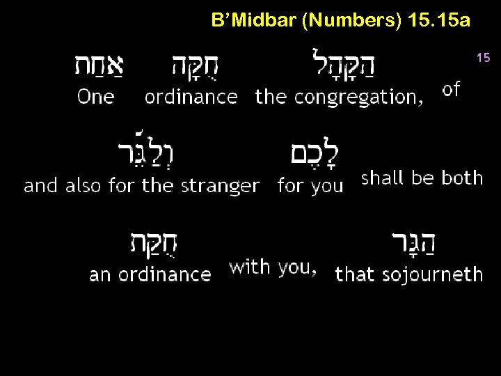 B’Midbar (Numbers) 15. 15 a 