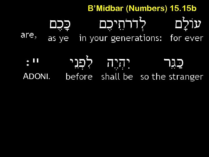 B’Midbar (Numbers) 15. 15 b יי ADONI. 