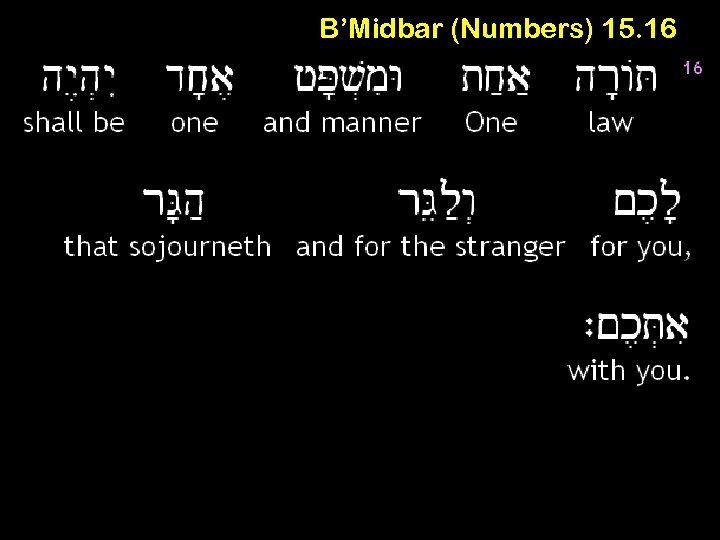 B’Midbar (Numbers) 15. 16 