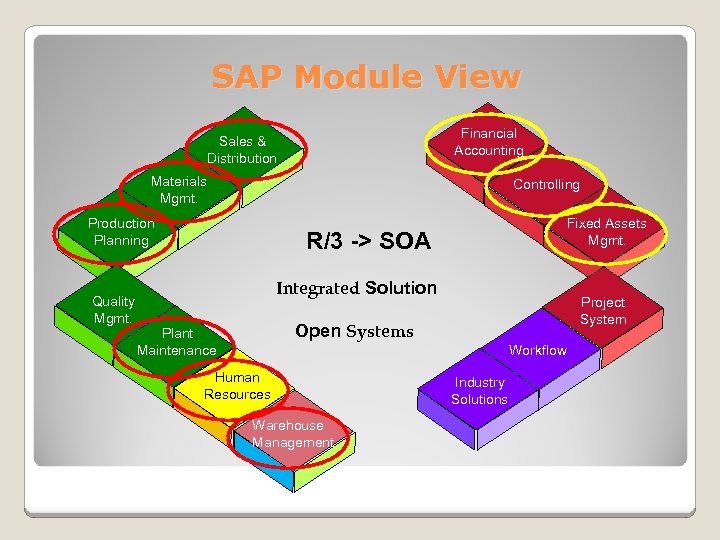 SAP Module View Financial Accounting Sales & Distribution Materials Mgmt. Controlling Production Planning Quality