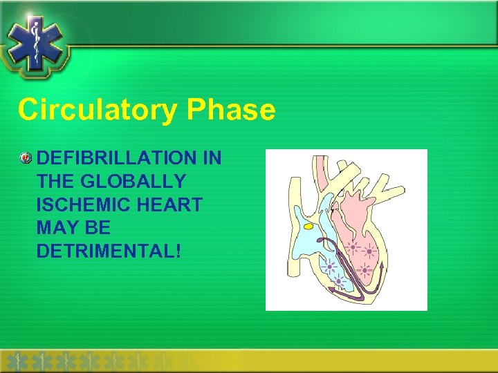 Circulatory Phase DEFIBRILLATION IN THE GLOBALLY ISCHEMIC HEART MAY BE DETRIMENTAL! 