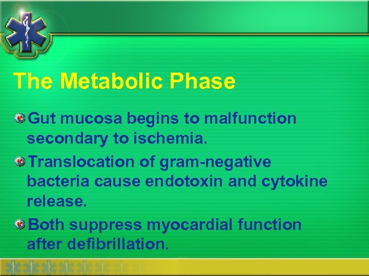 The Metabolic Phase Gut mucosa begins to malfunction secondary to ischemia. Translocation of gram-negative