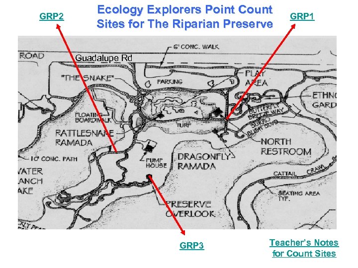 GRP 2 Ecology Explorers Point Count Sites for The Riparian Preserve GRP 1 Guadalupe