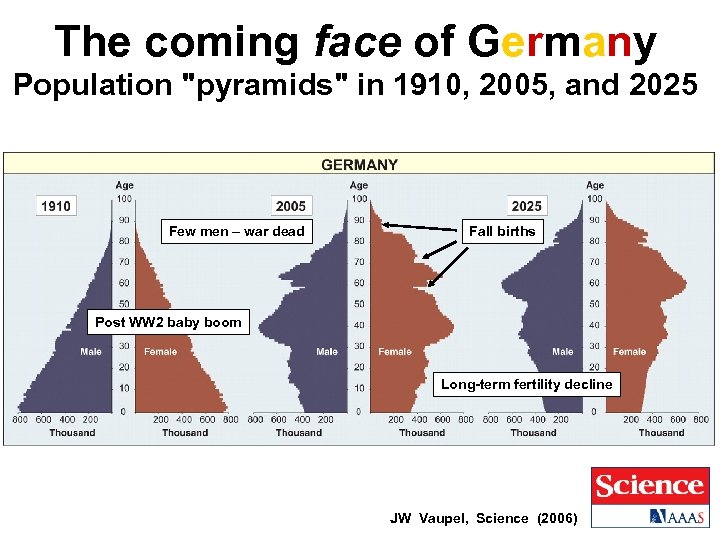 The coming face of Germany Population "pyramids" in 1910, 2005, and 2025 Few men