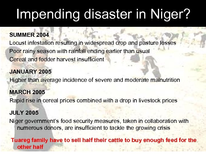 Impending disaster in Niger? SUMMER 2004 Locust infestation resulting in widespread crop and pasture