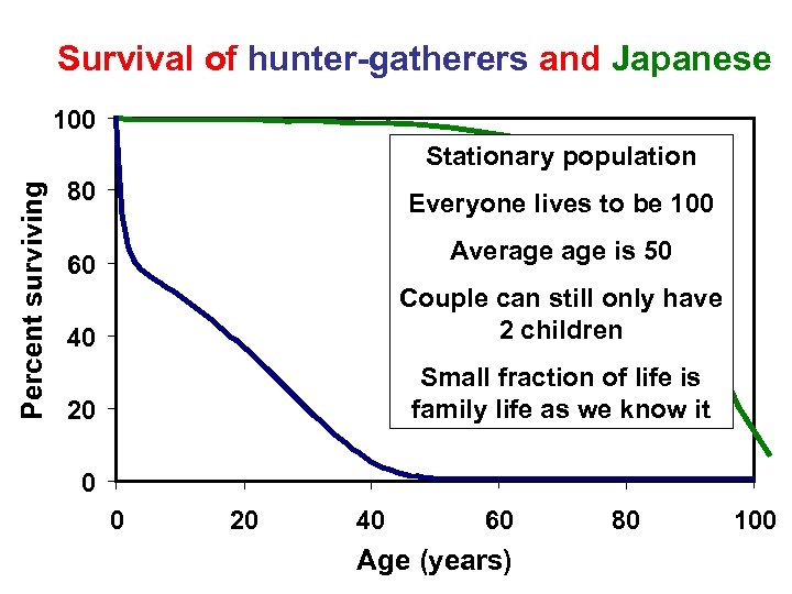 Survival of hunter-gatherers and Japanese 100 Percent surviving Stationary population 80 Everyone lives to