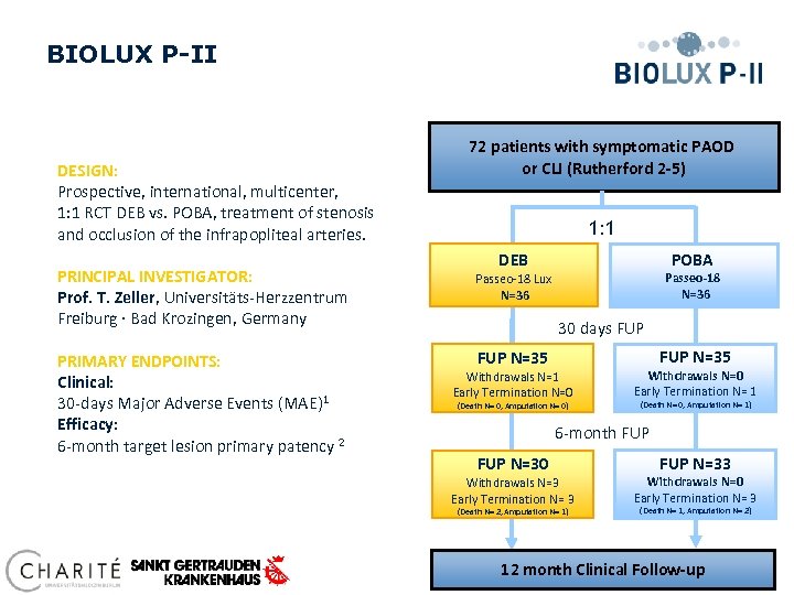 BIOLUX P-II DESIGN: Prospective, international, multicenter, 1: 1 RCT DEB vs. POBA, treatment of