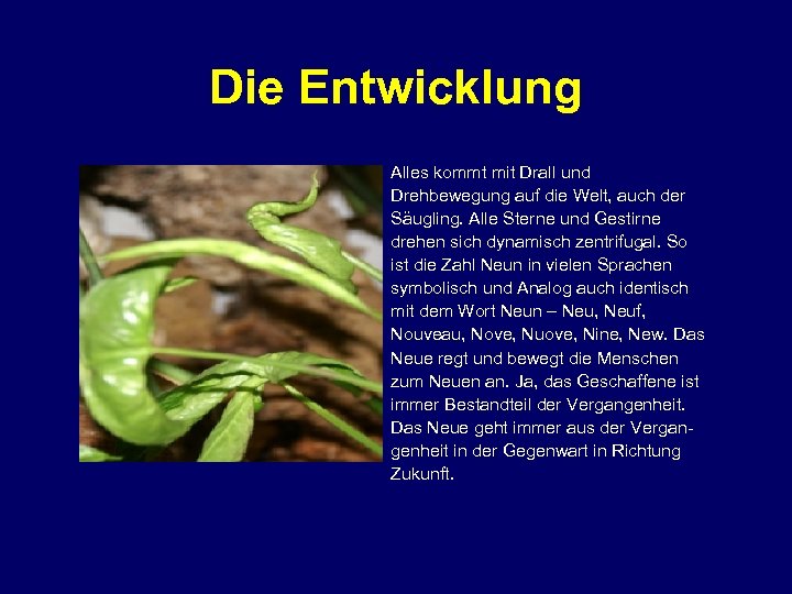 Die Entwicklung Alles kommt mit Drall und Drehbewegung auf die Welt, auch der Säugling.