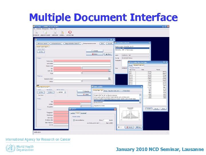 Multiple Document Interface January 2010 NCD Seminar, Lausanne 