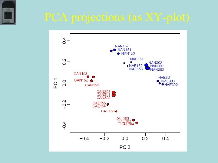 PCA projections (as XY-plot) 