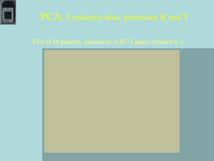 PCA: Leukemia data, precursor B and T Plot of 34 patients, dimension of 8973