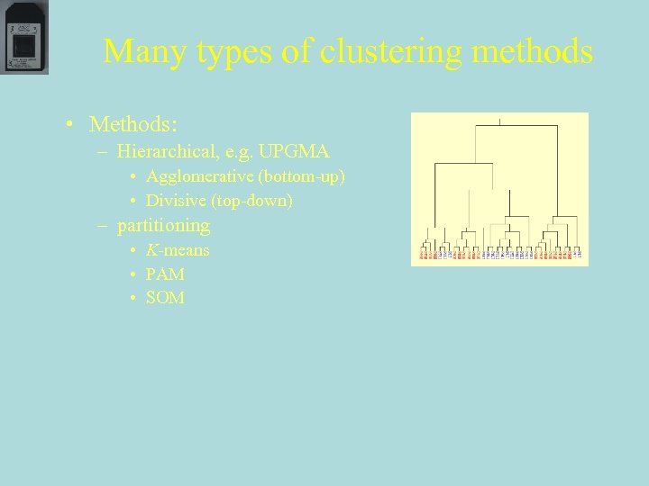 Many types of clustering methods • Methods: – Hierarchical, e. g. UPGMA • Agglomerative