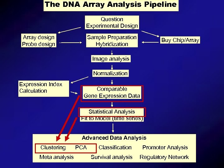 The DNA Array Analysis Pipeline Question Experimental Design Array design Probe design Sample Preparation