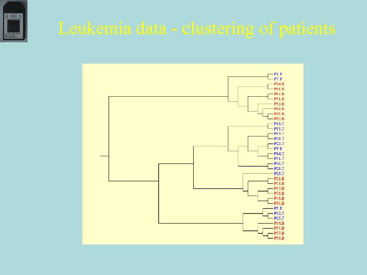 Leukemia data - clustering of patients 