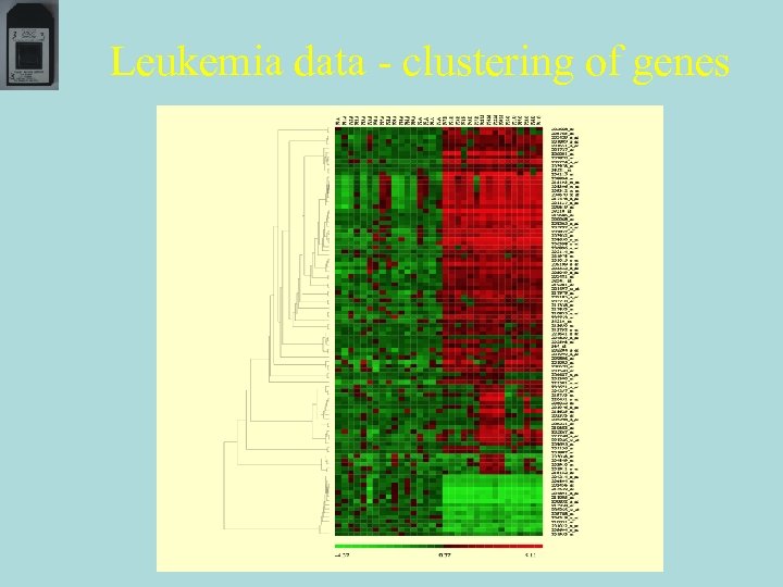 Leukemia data - clustering of genes 
