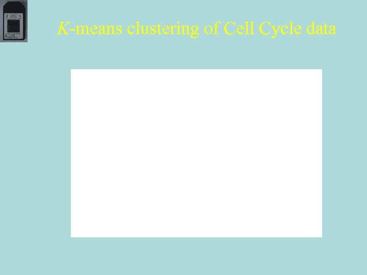 K-means clustering of Cell Cycle data 