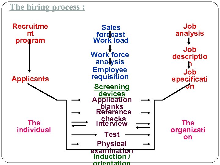 The hiring process : Recruitme nt program Applicants The individual Sales forecast Work load