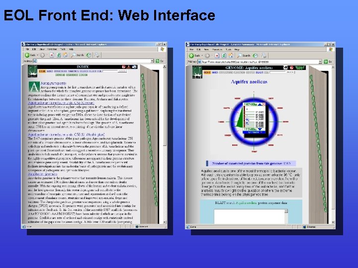 EOL Front End: Web Interface 