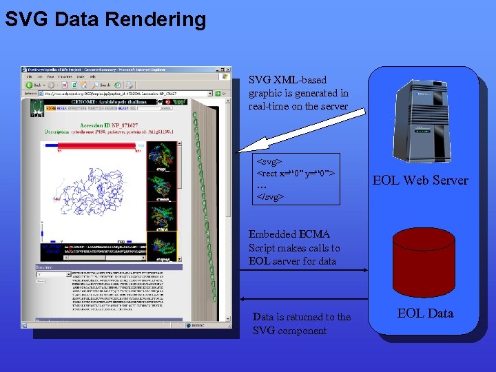 SVG Data Rendering SVG XML-based graphic is generated in real-time on the server <svg>