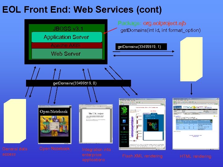 EOL Front End: Web Services (cont) JBOSS v 3. 1 Application Server Apache AXIS