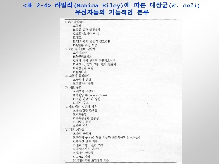 <표 2 -4> 라일리(Monica Riley)에 따른 대장균(E. coli) 유전자들의 기능적인 분류 