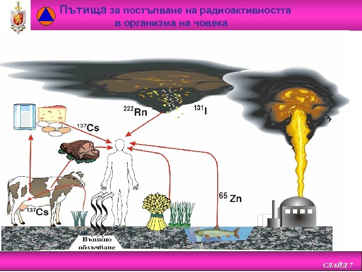 Пътища за постъпване на радиоактивността в организма на човека СЛАЙД 7 