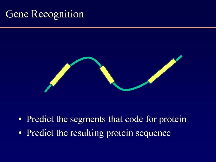 Gene Recognition • Predict the segments that code for protein • Predict the resulting