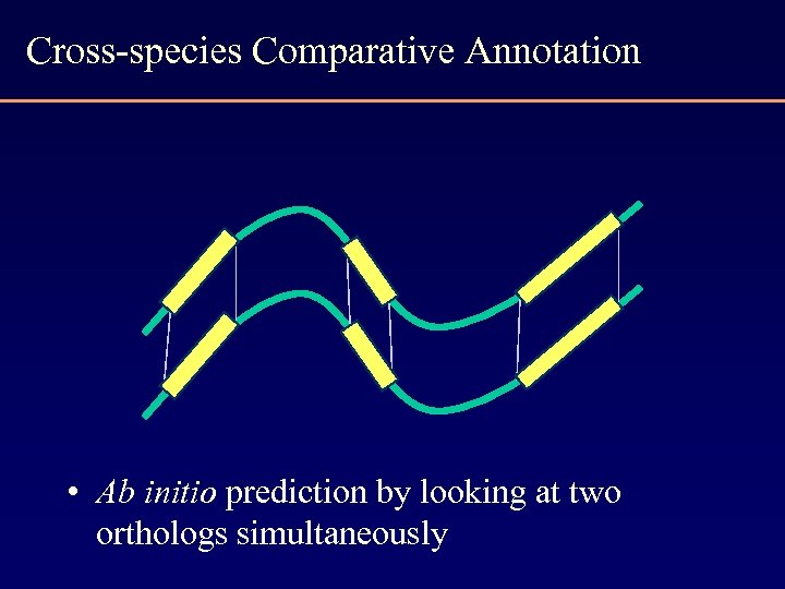 Cross-species Comparative Annotation • Ab initio prediction by looking at two orthologs simultaneously 